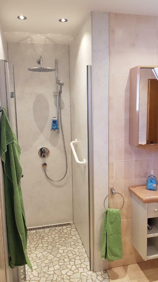 ספיטל אן דר דראו Ferienwohnung Hartlieb Goldeck Millstaettersee מראה חיצוני תמונה