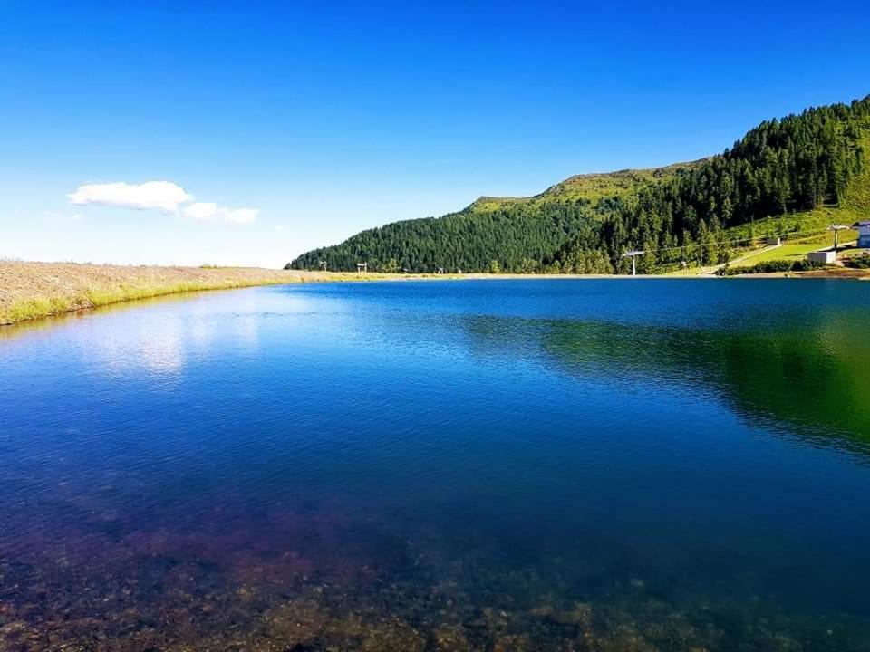 ספיטל אן דר דראו Ferienwohnung Hartlieb Goldeck Millstaettersee מראה חיצוני תמונה